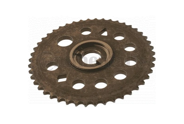 Gear/Sprocket, camshaft (V3453037)