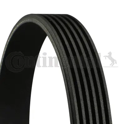 V-Ribbed Belt (6PK2490)