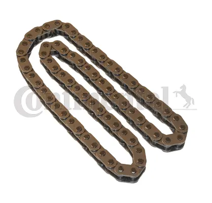 Timing Chain (V3450039)