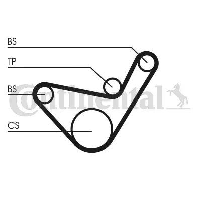 Timing Belt