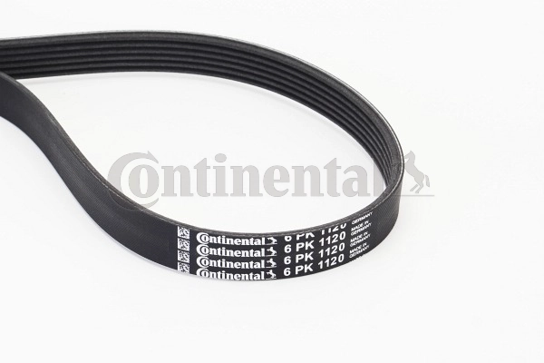V-Ribbed Belt (6PK1120)