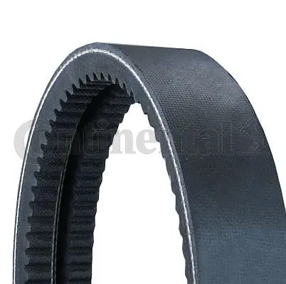 Banded V-Belts (2/AVX13X1450)