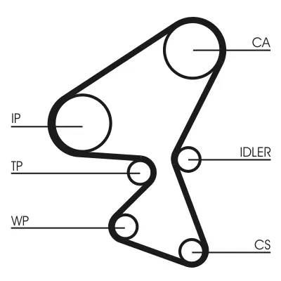 Timing Belt