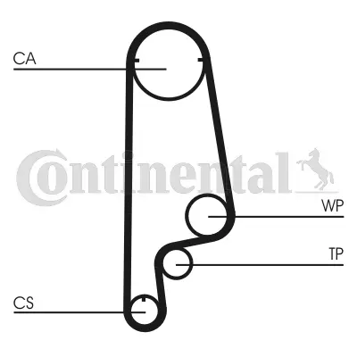 Timing Belt Kit