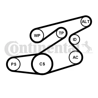 Water Pump + V-Ribbed Belt Kit