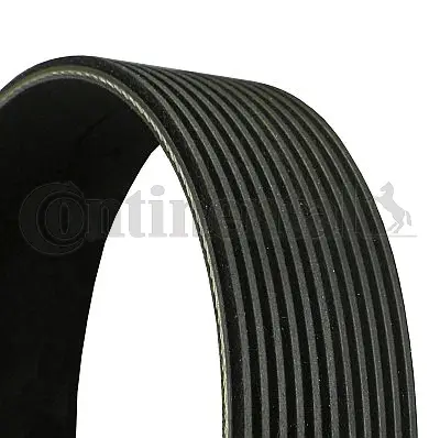 V-Ribbed Belt (11PK2020)