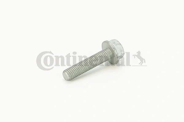 Screw (V41169)