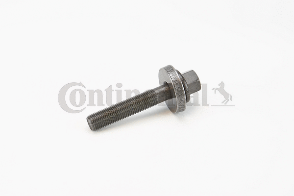 Screw (V41352)