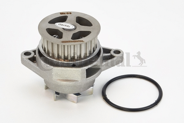 Water Pump, engine cooling (WP6029)