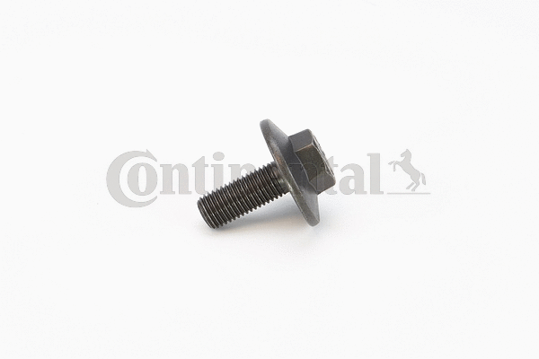 Screw (V41217)