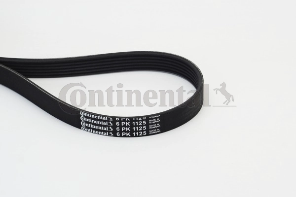 V-Ribbed Belt (6PK1125)