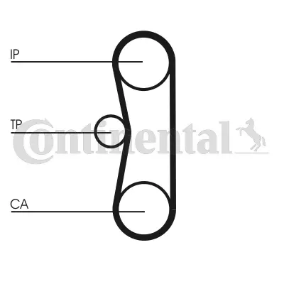 Timing Belt Kit