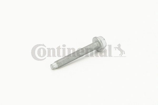 Screw (V41109)