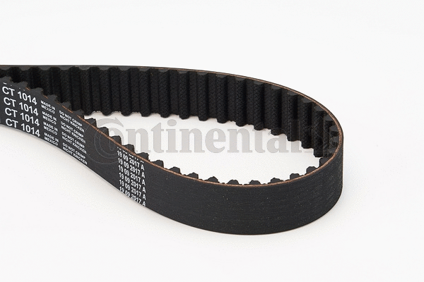 Timing Belt