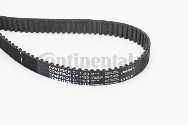 Timing Belt