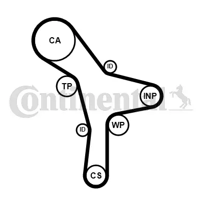 Timing Belt