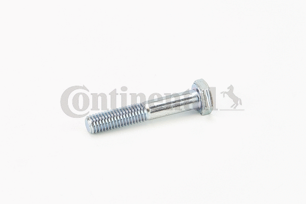 Screw (V41224)