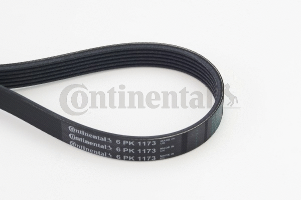 V-Ribbed Belt (6PK1173)