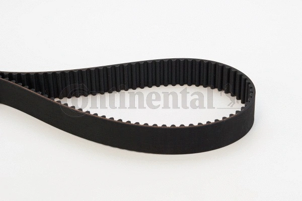 Timing Belt