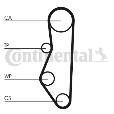 Timing Belt