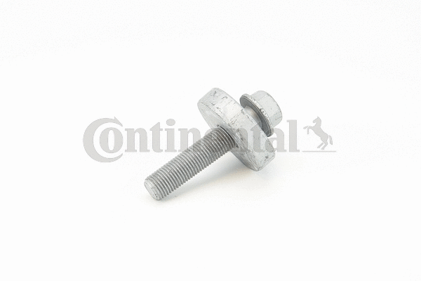 Screw (V41143)