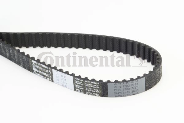 Timing Belt