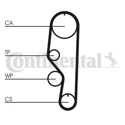 Timing Belt
