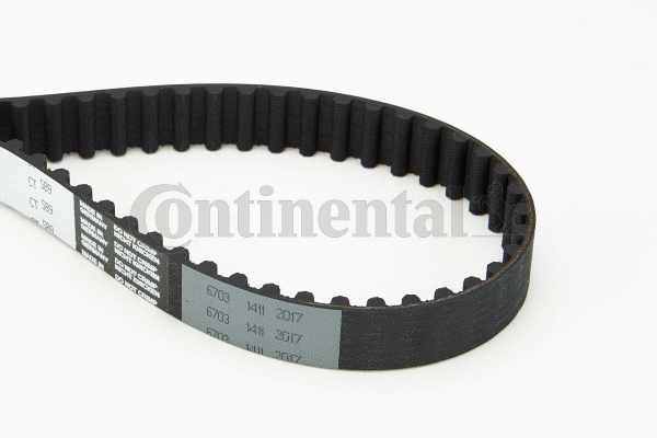 Timing Belt