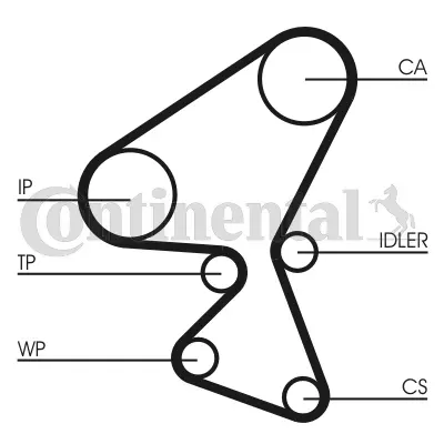 Timing Belt Kit