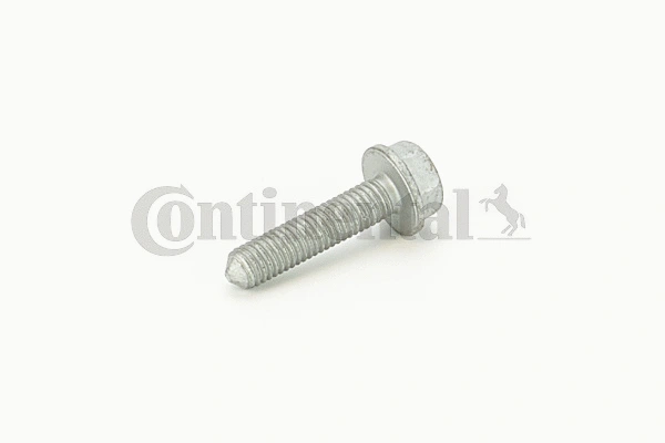 Screw (V41168)