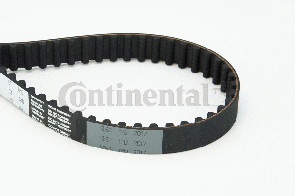 Timing Belt