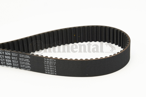 Timing Belt