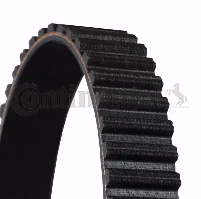 Timing Belt (CT1234)
