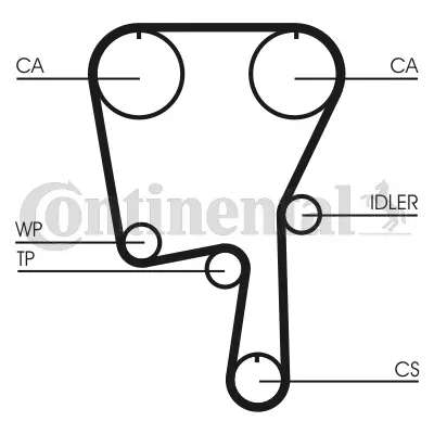 Timing Belt