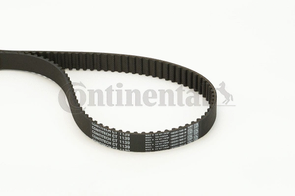 Timing Belt