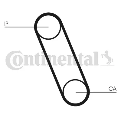 Timing Belt