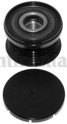 Alternator Freewheel Clutch (AP9012)