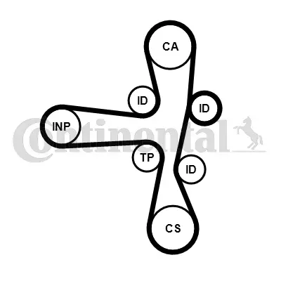 Timing Belt