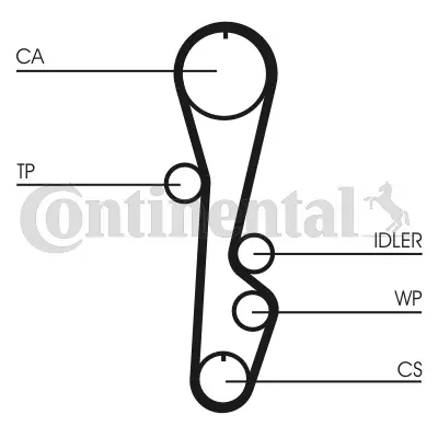 Timing Belt