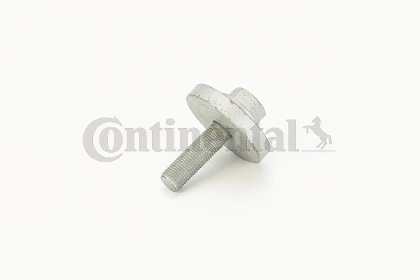 Screw (V41144)
