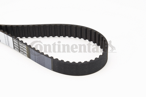 Timing Belt