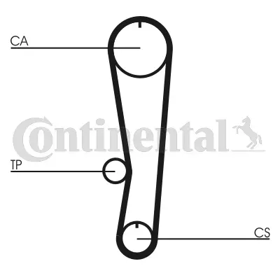 Timing Belt