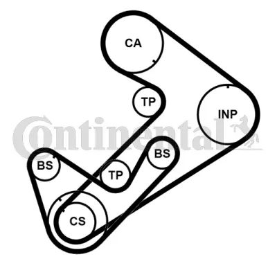 Timing Belt Kit