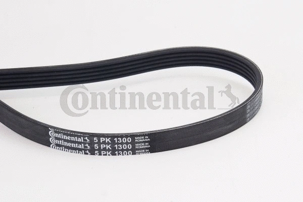 V-Ribbed Belt (5PK1300)