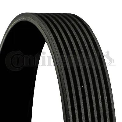 V-Ribbed Belt (8PK2523)