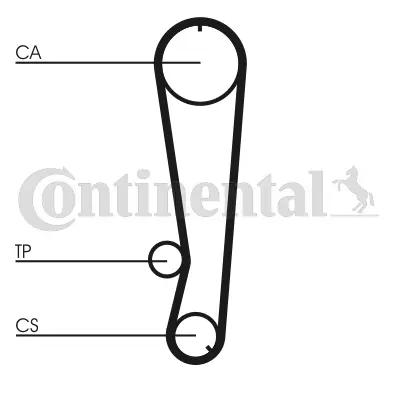 Timing Belt