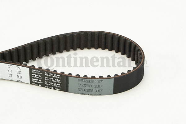 Timing Belt