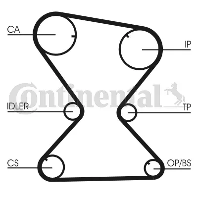 Timing Belt Kit