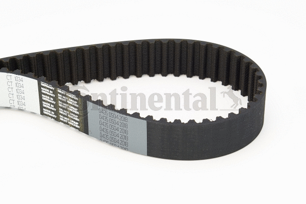 Timing Belt