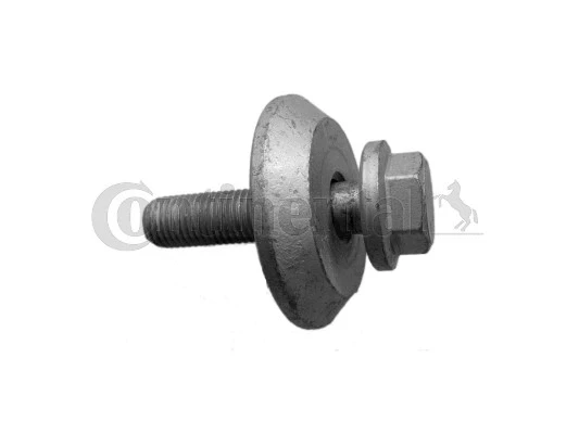 Screw (V41329)